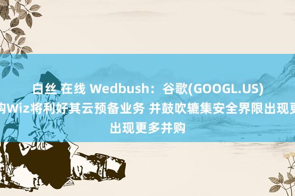 白丝 在线 Wedbush：谷歌(GOOGL.US)得胜收购Wiz将利好其云预备业务 并鼓吹辘集安全界限出现更多并购