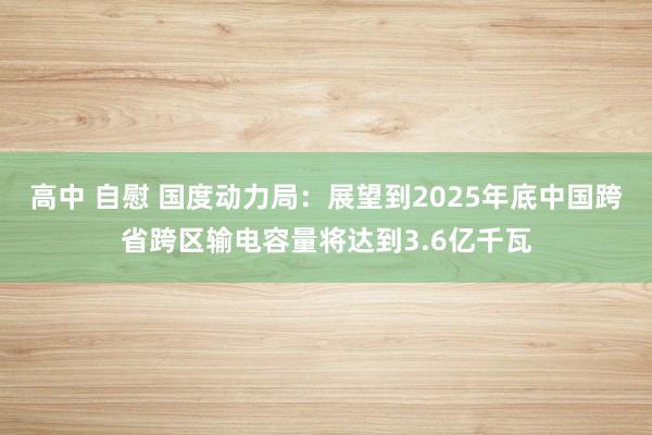 高中 自慰 国度动力局：展望到2025年底中国跨省跨区输电容量将达到3.6亿千瓦