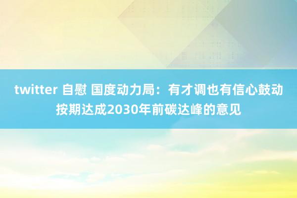 twitter 自慰 国度动力局：有才调也有信心鼓动按期达成2030年前碳达峰的意见