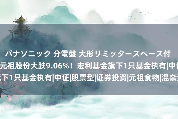 パナソニック 分電盤 大形リミッタースペース付 露出・半埋込両用形 元祖股份大跌9.06%！宏利基金旗下1只基金执有|中证|股票型|证券投资|元祖食物|混杂型证券