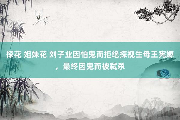 探花 姐妹花 刘子业因怕鬼而拒绝探视生母王宪嫄，最终因鬼而被弑杀