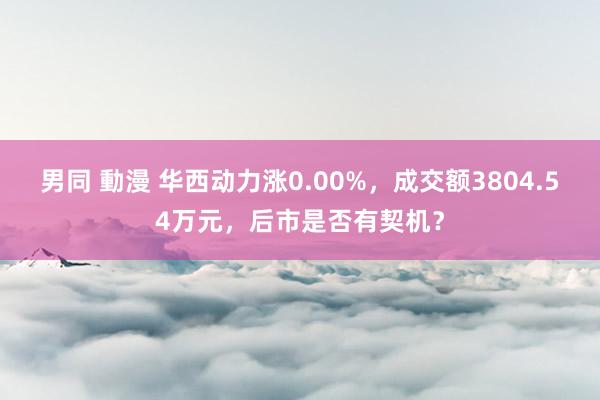 男同 動漫 华西动力涨0.00%，成交额3804.54万元，后市是否有契机？